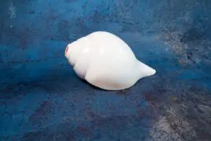 Panchajanya